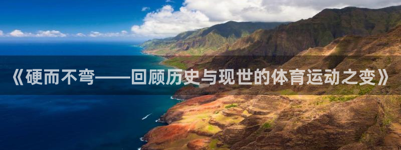 v站体育比分