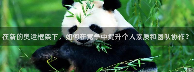 v站体育app官方下载