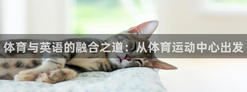 v站体育电脑版：体育与英语的融合之道：从体育运动中心出发