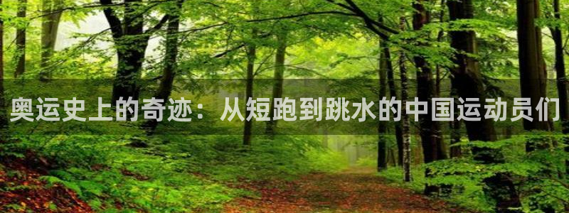 v站体育下载：奥运史上的奇迹：从短跑到跳水的中国运动员们