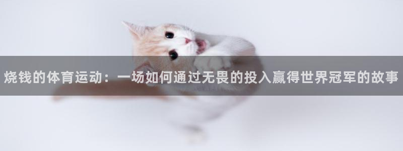 关键词