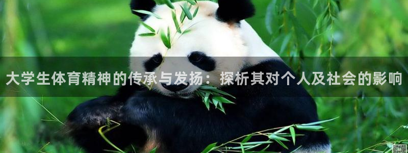 v站体育官方入口