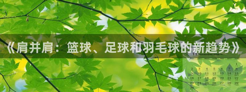 v站体育旧版：《肩并肩：篮球、足球和羽毛球的新趋势》