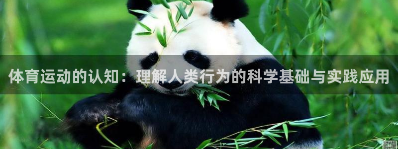v站体育邀请码