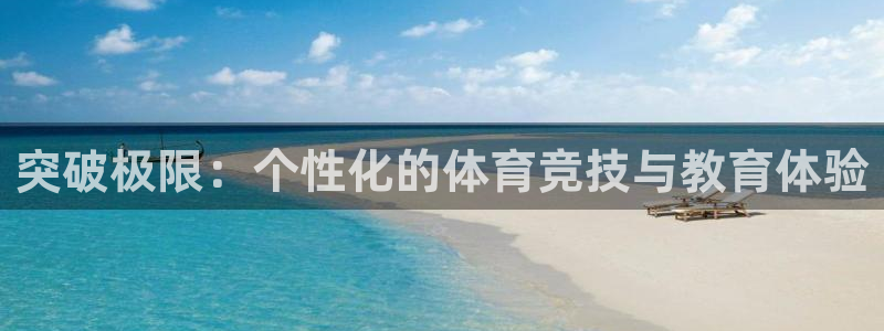 v站体育电脑版