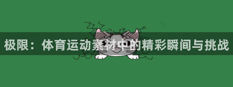 v站体育下载