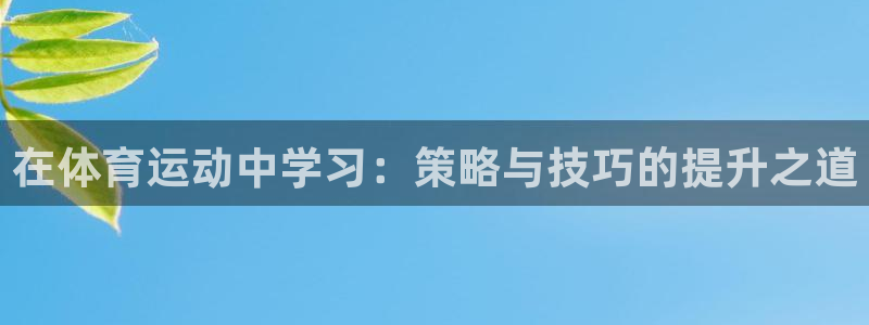 V站体育入口官网