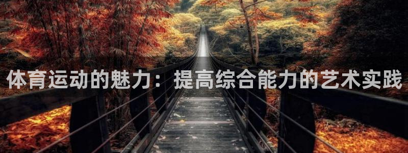 v站体育旧版：体育运动的魅力：提高综合能力的艺术实践